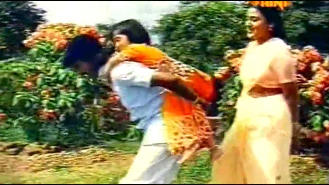 Aalorungi Arangorungi Lyrics – Ente Mamattikkuttiyammakku Movie