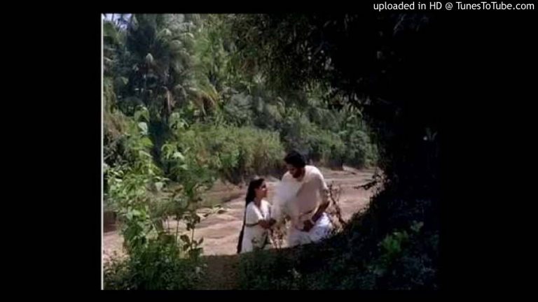 Vinninte Virimaril Lyrics – Ashtapadi Malayalam Movie