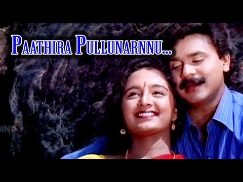 Pathira Pullunarnnu Lyrics – Ee Puzhayum Kadannu Movie