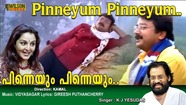 Pinneyum Pinneyum Lyrics – Krishnagudiyil Oru Pranayakalathu Movie