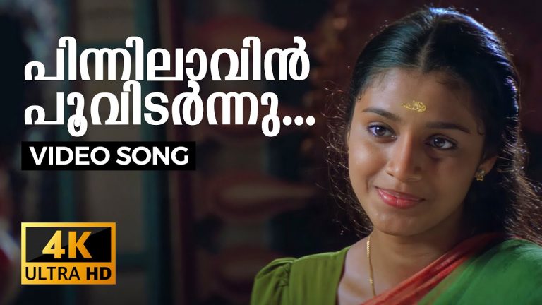 Pinnilavin Poo Vidarnnu Lyrics – Veendum Chila Veettu Karyangal Movie